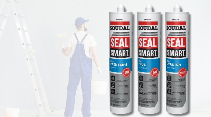 View Products under Seal Smart Painter's